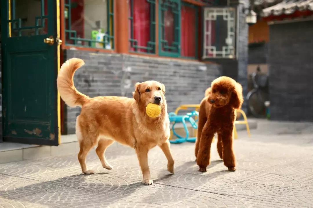 除了酒店体育馆，年会场地还能选什么？丨年会支招