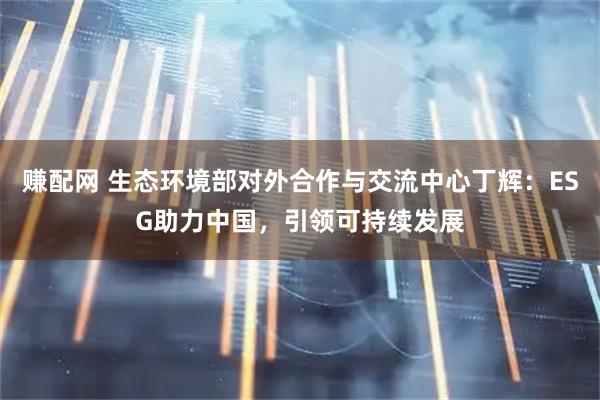 赚配网 生态环境部对外合作与交流中心丁辉：ESG助力中国，引领可持续发展